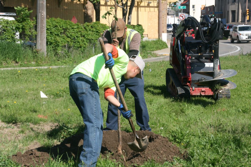 A crew from Simon Landscape Company plants trees at 4623 W. Lisbon Ave. Photo by Jeramey Jannene.