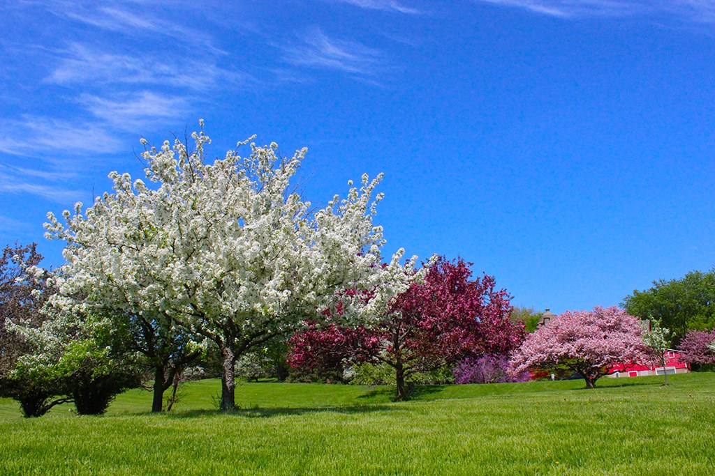 As Parks Reopen amid COVID-19 Crisis, Minneapolis Named Best City Park System in U.S.