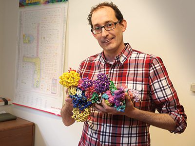 Marquette biological sciences professor honored with university’s highest teaching honor