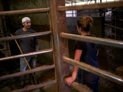 Trump Impacts Dairy Farms, Milwaukee Police