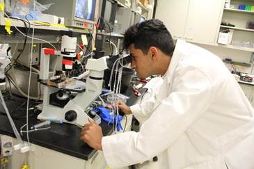 Milwaukee High School Student Wins International Award for Research Conducted at Medical College of Wisconsin Lab