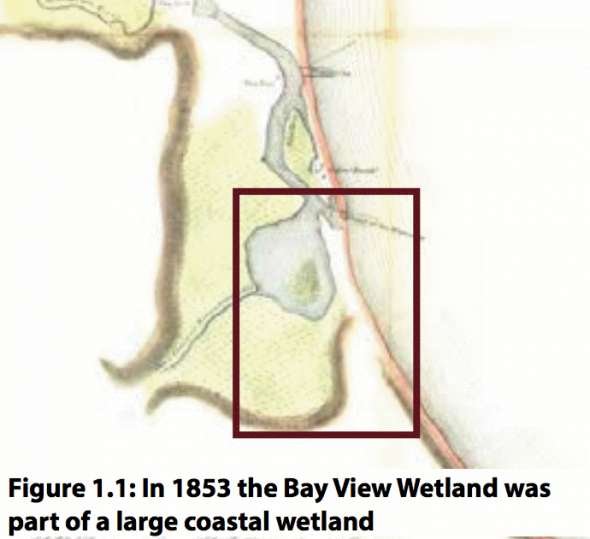 In 1853 the Bay View Wetland was part of a large coastal wetland.