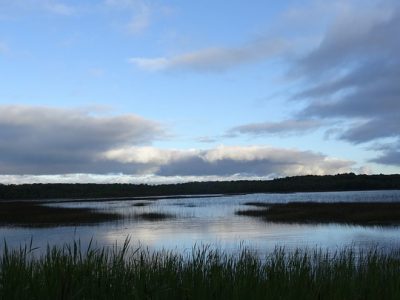 Campaign Cash: Bill Would Let Utilities Destroy Wetlands