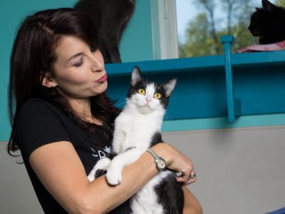City’s First Cat Cafe on East Side