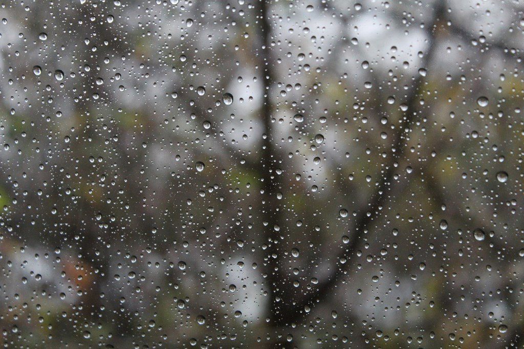 Rainy Day. Photo is in the Public Domain.