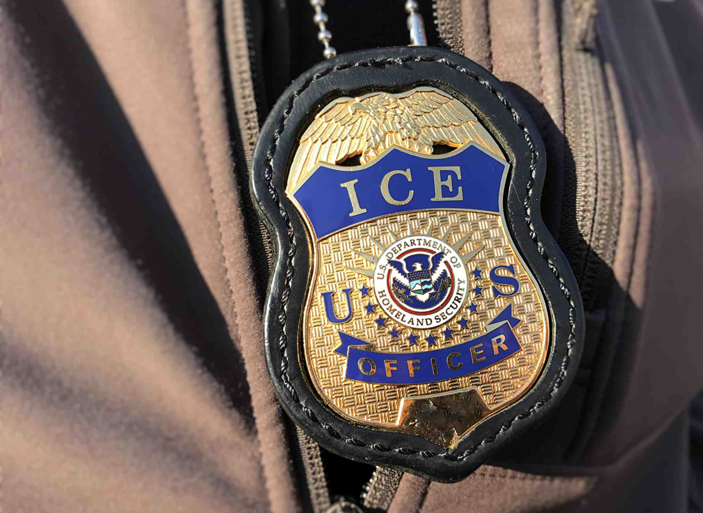 immigration and customs enforcement logo