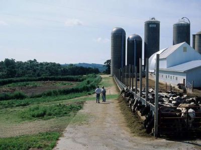 The Rise of Migrant Farmworkers