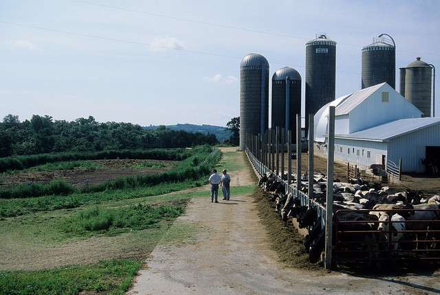 Dairy farm. Photo from the Wisconsin Department of Natural Resources (CC-BY-ND).