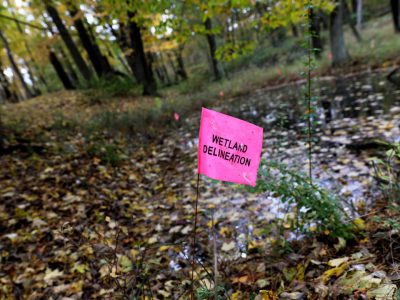 DNR Staff Pressured On Kohler Golf Course?