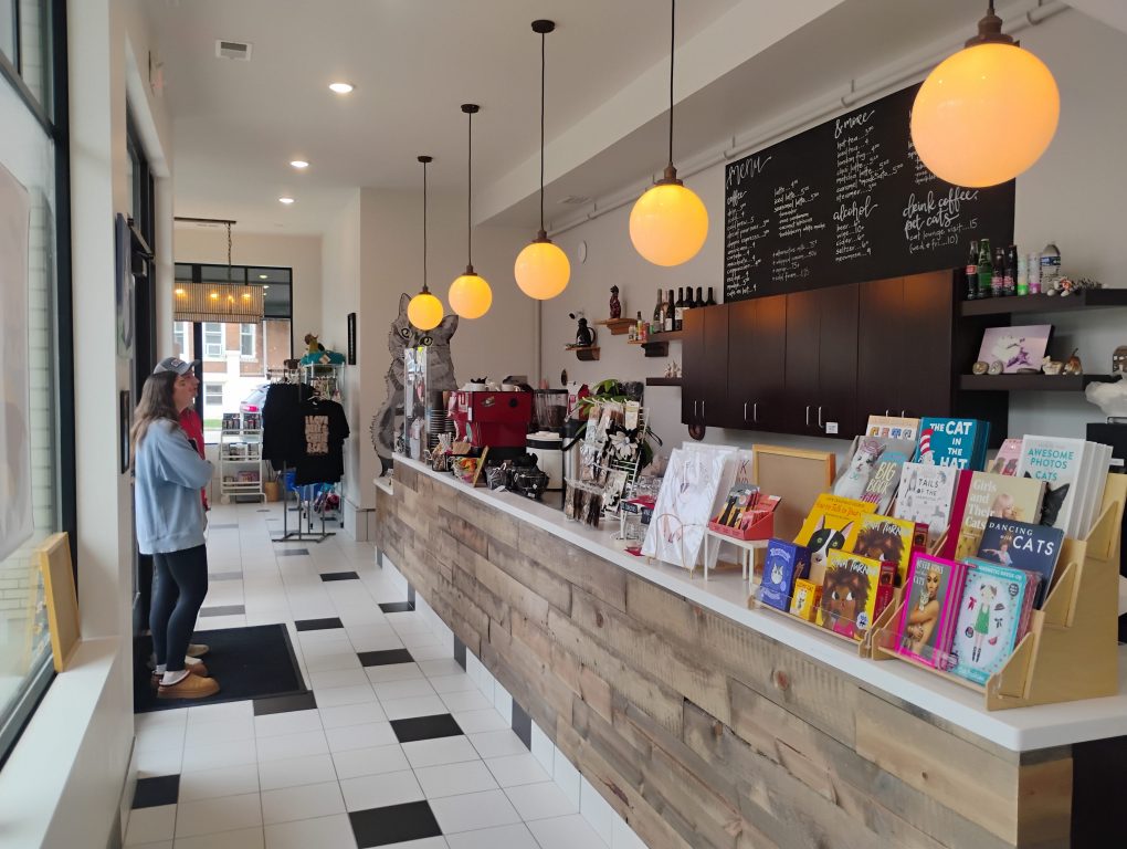 Sip & Purr Cat Cafe. Photo by Michael Horne.