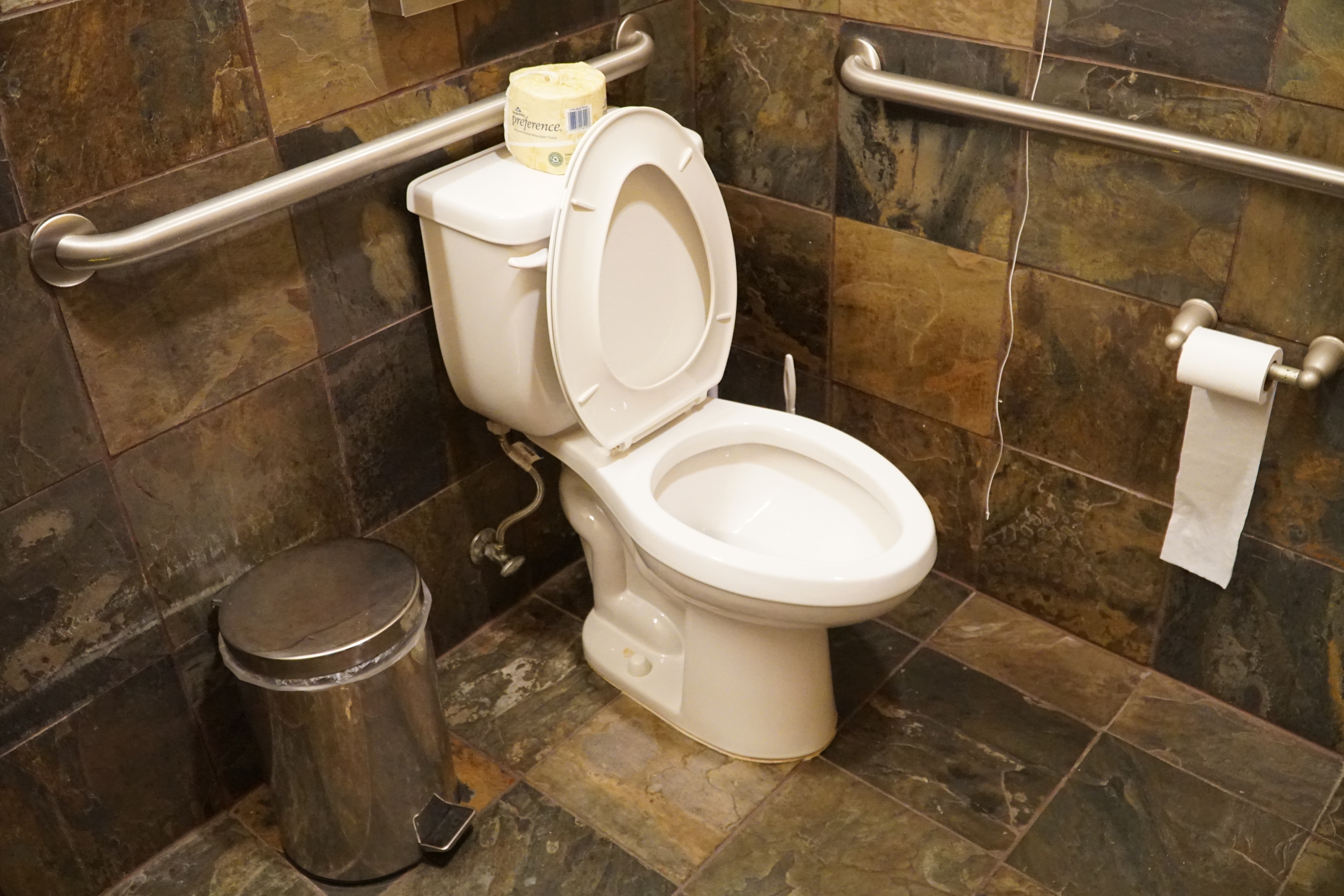 Should You Flush Dog Poop? » Urban Milwaukee