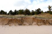 Sand dunes are held together by a variety of grasses along the Lake Michigan shoreline in Wisconsin’s Kohler-Andrae State Park. Kohler Co. plans to build a golf course nearby. Photo by Coburn Dukehart/Wisconsin Center for Investigative Journalism.