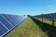The 149-megawatt Badger State Solar Project is planned for private land in the Towns of Jefferson and Oakland. Photo courtesy of Ranger Power.