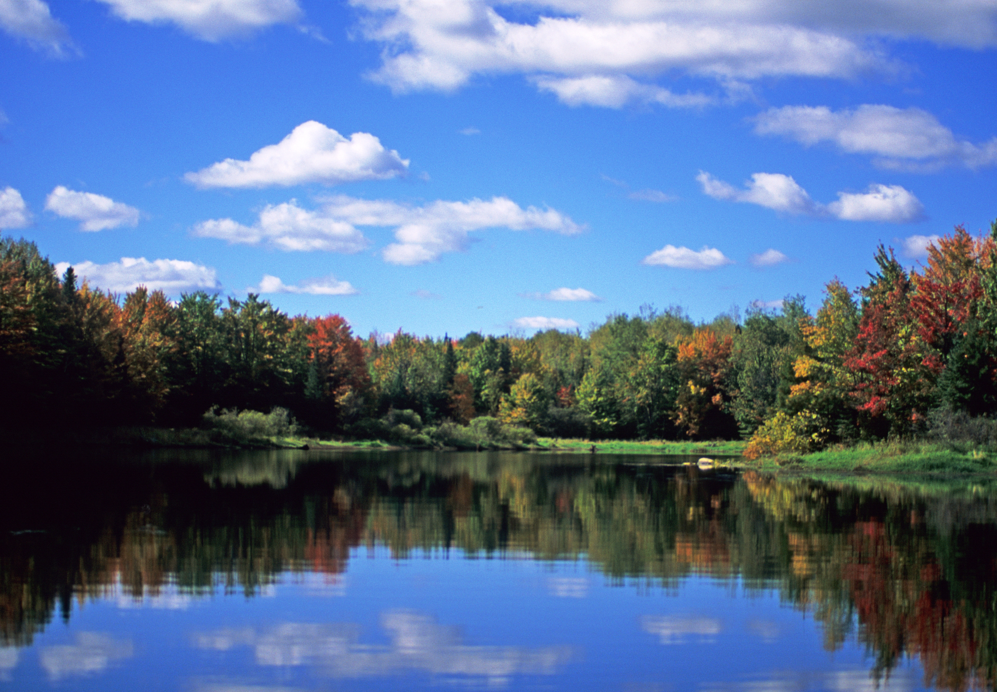 Willow Flowage Scenic Waters Area. Photo from the Wisconsin Department of Natural Resources (CC BY-ND 2.0)
