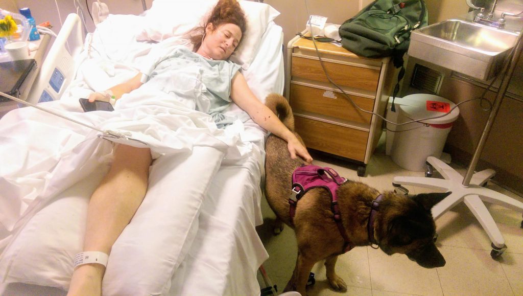 One week after Jennifer Kilburn's car was hit by a drunken driver on the morning of Aug. 9, 2018, her dog visited her in the hospital. Photo courtesy of Jennifer Kilburn.