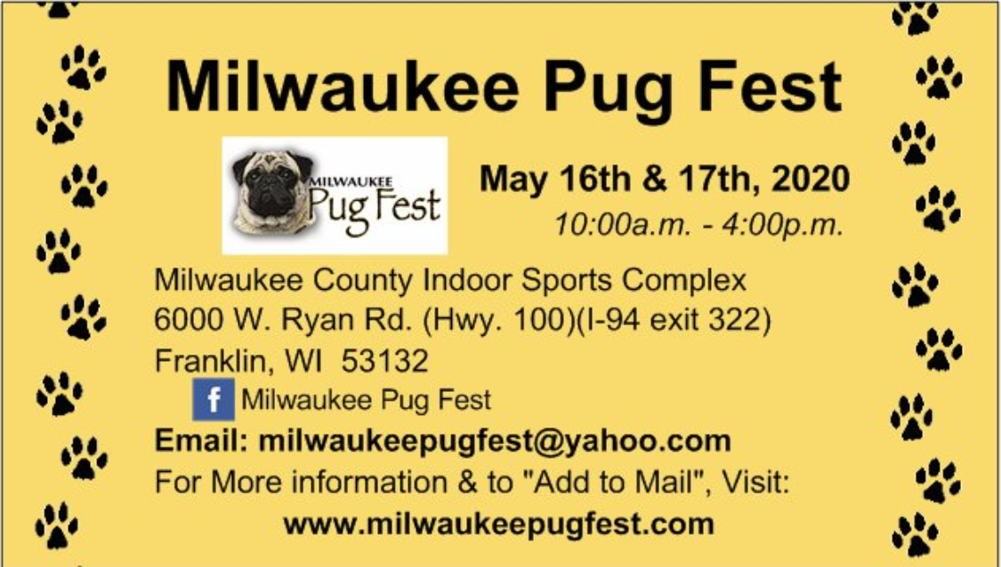 Milwaukee Pug Fest » Urban Milwaukee