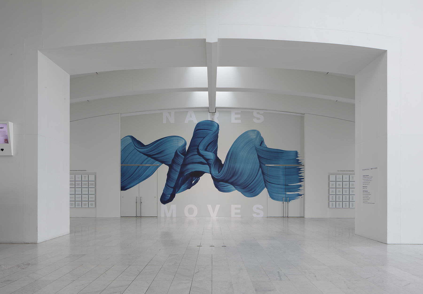 "Nares Moves." Photo courtesy of the Milwaukee Art Museum.