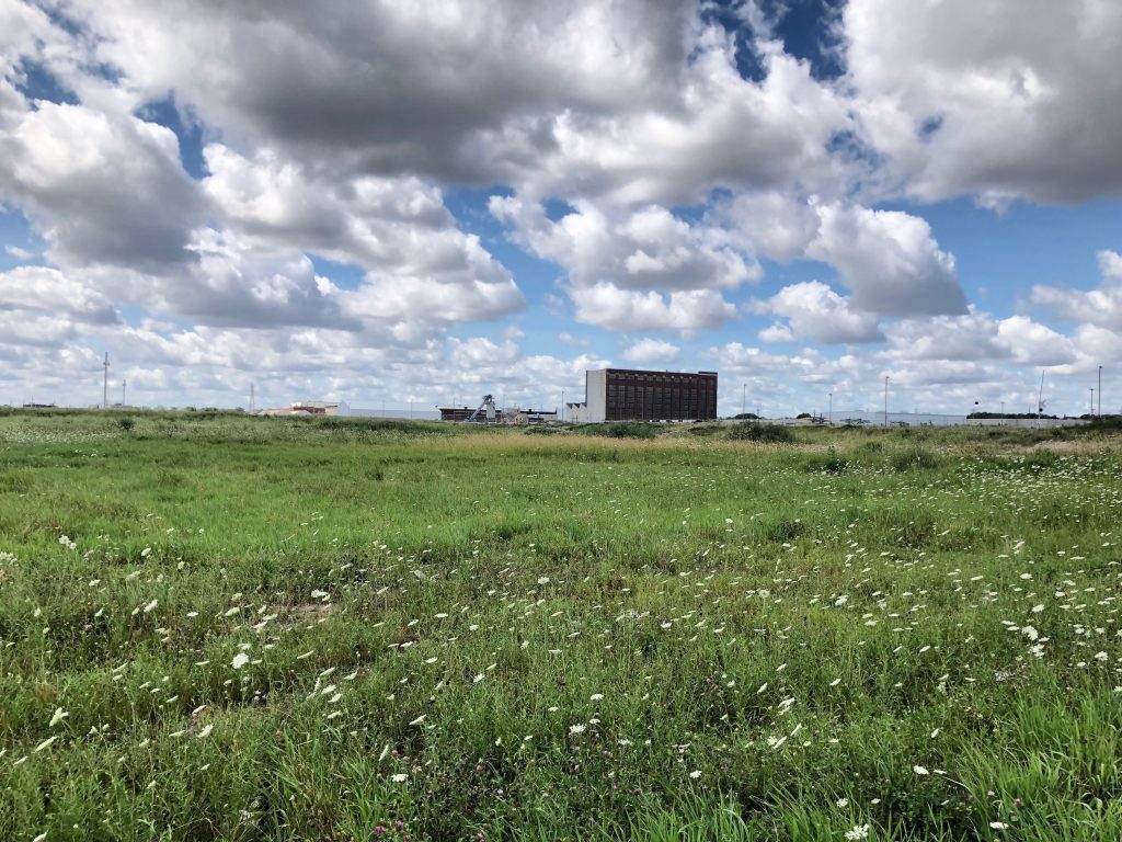 Hopkins Street Development Site. Photo by Jeramey Jannene.