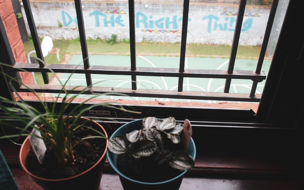 A young person placed at the limited-secure Close to Home facility in Brooklyn, New York, has plants growing in his bedroom window and a view of the basketball court in the backyard. Photo by Allison Dikanovic/NNS.