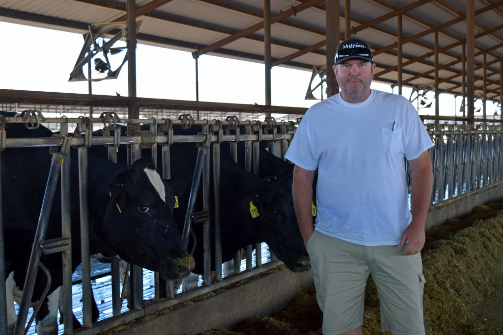 E.J. Dejong stands with some of the dairy cows that live on his 5,000 cattle dairy farm. California's high-speed rail line will cut straight through his property, making the future of his operation uncertain. Photo by Bridgit Bowden/WPR.