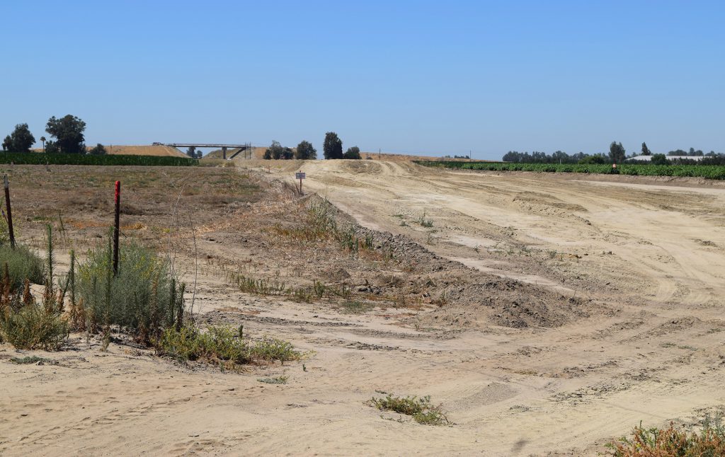 California's high-speed rail line will go straight through E.J. Dejong’s dairy farm in Hanford, Calif. His main water and power lines will need to move. This photo shows land nearby Dejong's farm where the high-speed rail line will also travel. Photo by Bridgit Bowden/WPR.