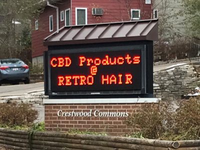 CBD Oil Products Rising in Popularity