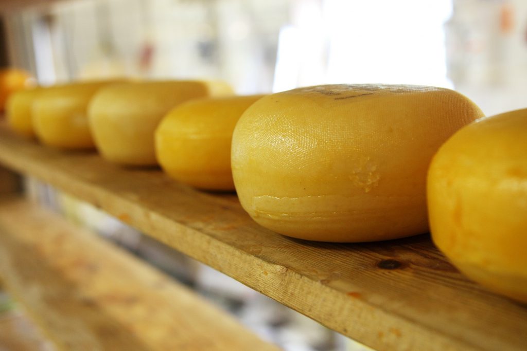 Cheese. Pixabay License. Free for commercial use. No attribution required.