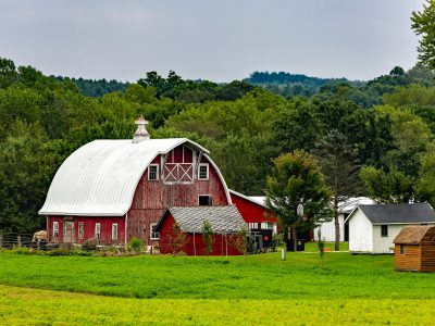 Wisconsin Second In U.S. For Number Of Organic Farms