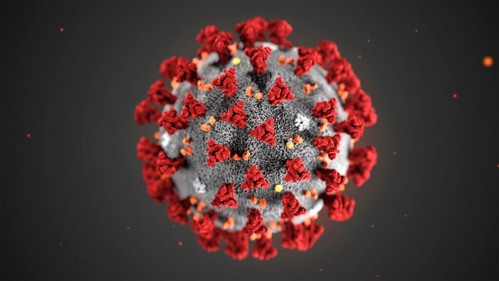2019 Novel Coronavirus. Image by the Centers for Disease Control and Prevention.
