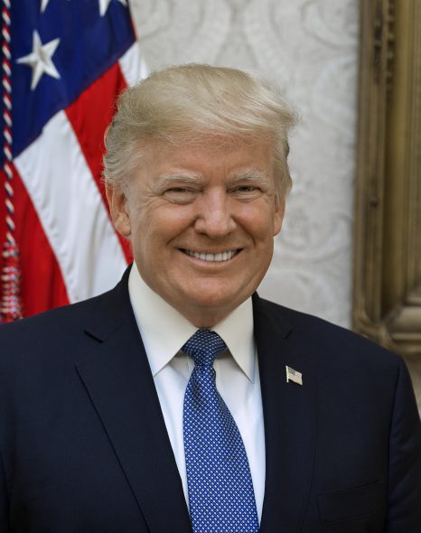 Official portrait of President Donald J. Trump, Friday, October 6, 2017. Official White House photo by Shealah Craighead.