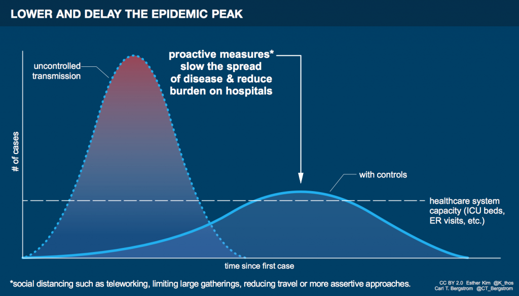 Flatten the curve graphic. Esther Kim & Carl T. Bergstrom / CC BY (https://creativecommons.org/licenses/by/2.0)