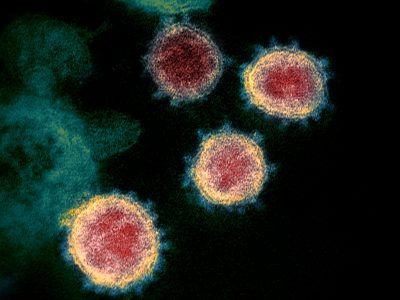 Data Wonk: What Comes Next in the Fight Against the Coronavirus?