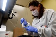 Aspirus Wausau Hospital Medical Technologist Lindsey Koski begins a COVID-19 batch testing process. Photo courtesy of Aspirus.