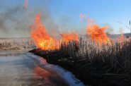 Prescribed burn at Uihlein Waterfowl Production Area. Photo by Sean Sallmann/USFWS. (CC BY 2.0) https://creativecommons.org/licenses/by/2.0/