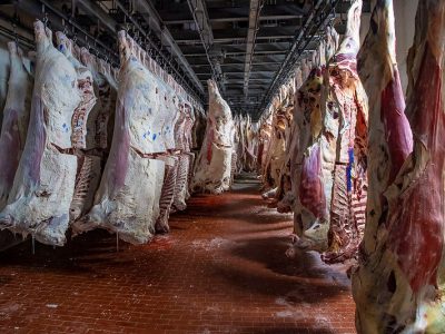 State Program Will Train New Meat Processing Workers