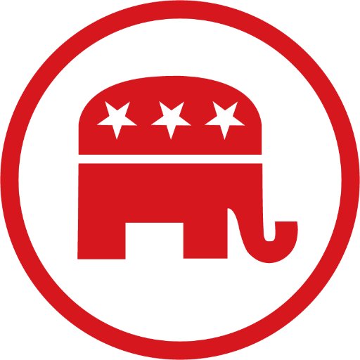 RNC Elects New Chair and Co-Chair in Houston