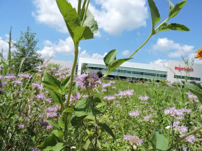 Menomonee Valley Partners, Urban Ecology Center Complete Transformation of 24-Acre Brownfield