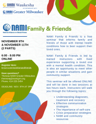 NAMI Family & Friends, November 2020