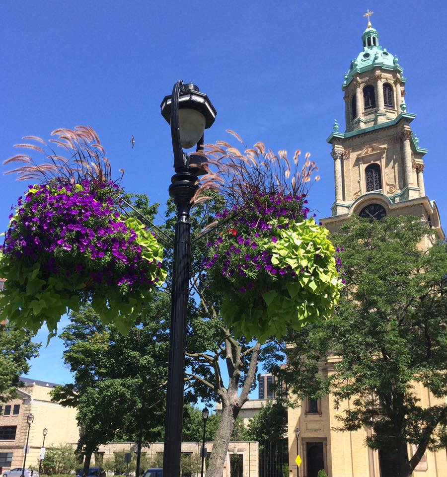 Help Fill Cathedral Square With Flowers