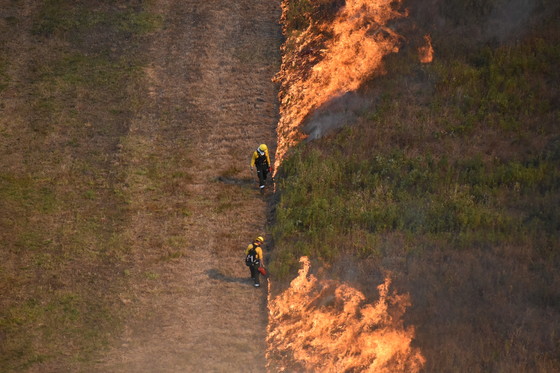 Prescribed Burns Spark A Better Future For Rare Ecosystems Urban