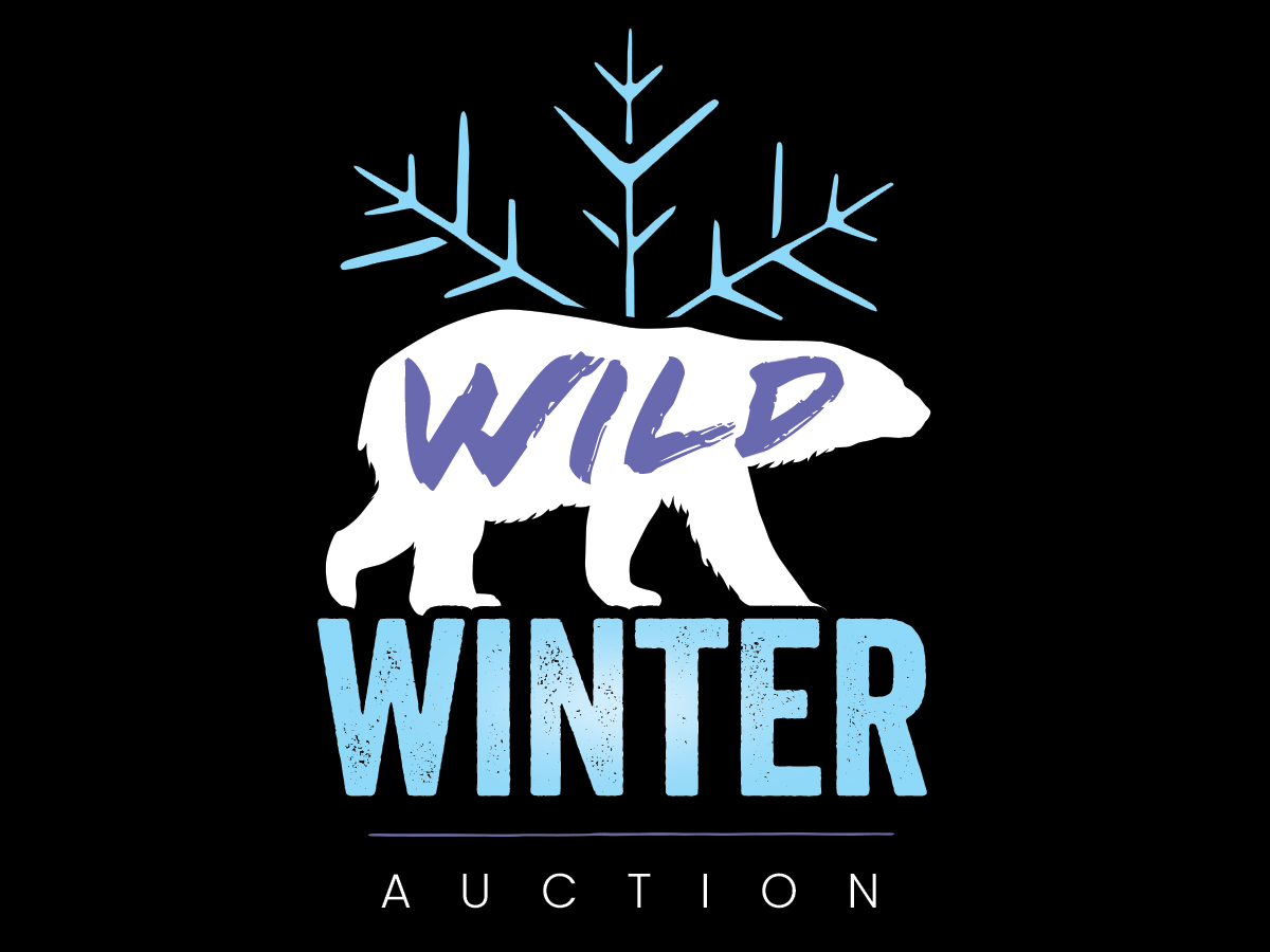 WILD Winter Auction