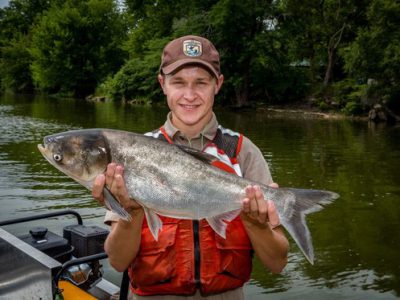 DNR Working With Multiple Agencies To Remove Invasive Carp From Mississippi River