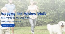Wagging For Wishes