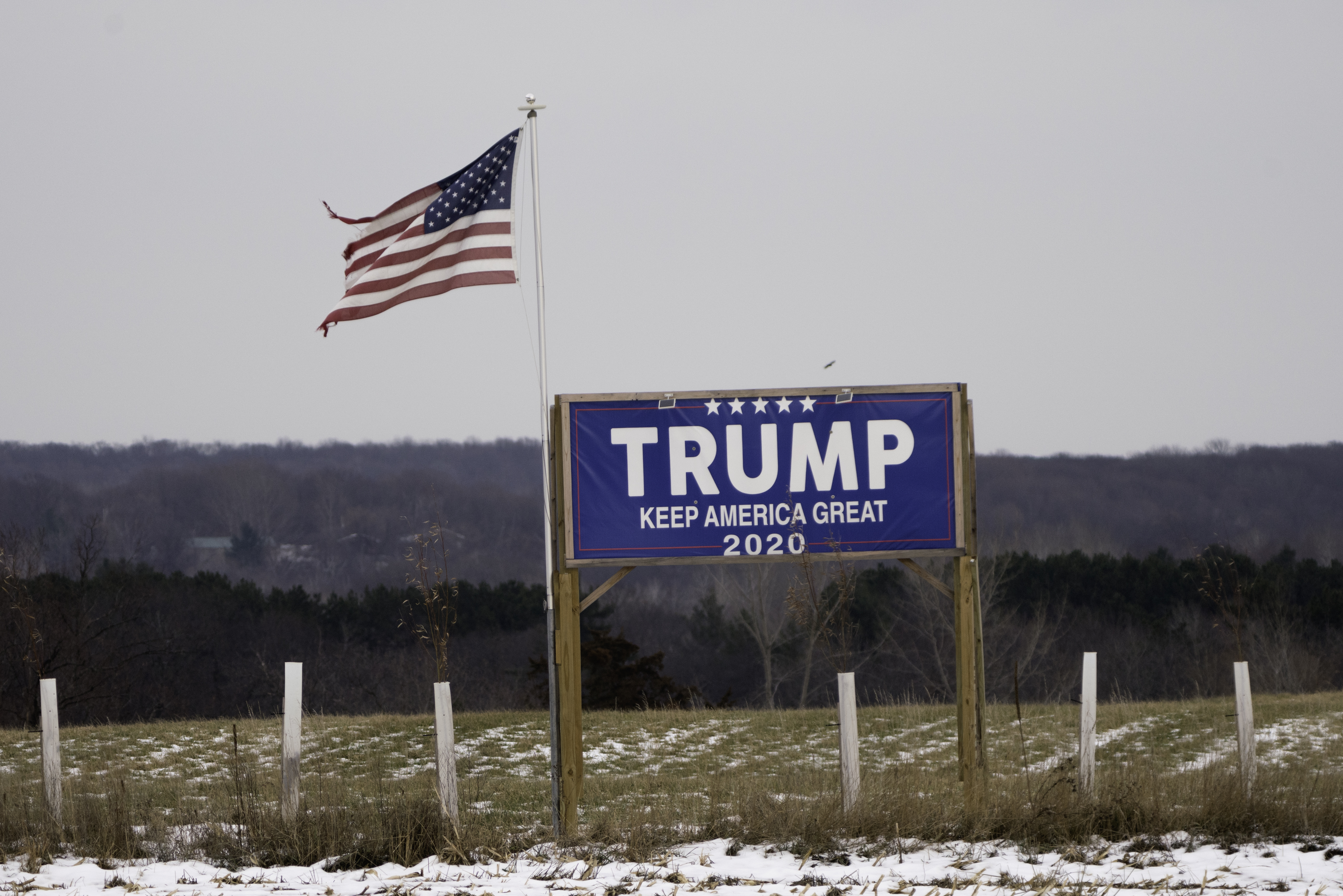 A Trump sign and torn US flag flying after the election near St Croix Falls, Wisconsin. Photo by Lorie Shaull from St Paul, United States, CC BY-SA 2.0 , via Wikimedia Commons
