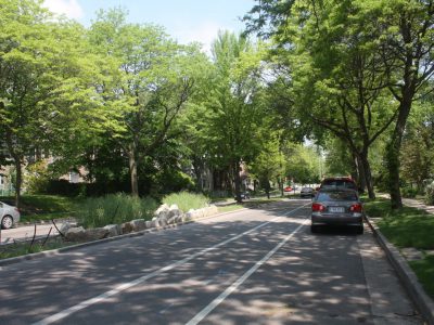 Murphy’s Law: City’s Urban Forest Fights Climate Change