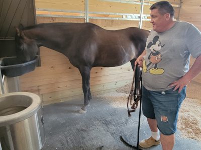 Program Offers Equine Therapy for Veterans, Youth