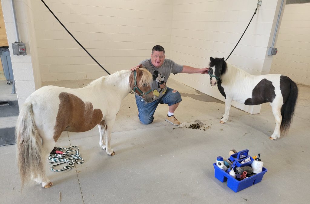 Army veteran Glenn Scheuermam, a volunteer at MKE Urban Stables, pets two mini-horses that recently arrived to the stable. Photo by Edgar Mendez/NNS.
