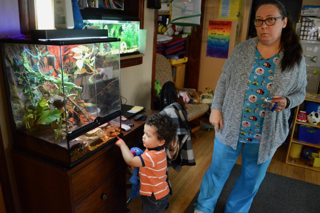 Affordable child care is hard to come by these days, and new data suggests staffing shortages may be partially to blame. Here, Barbara Kelley, owner of Mama Bear’s Family Child Care, looks on while Joseph Carey watches lizards in 2018. File photo by Analise Pruni/NNS.