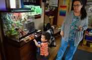 Affordable child care is hard to come by these days, and new data suggests staffing shortages may be partially to blame. Here, Barbara Kelley, owner of Mama Bear’s Family Child Care, looks on while Joseph Carey watches lizards in 2018. File photo by Analise Pruni/NNS.