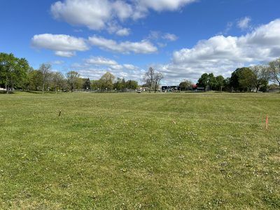 King Park